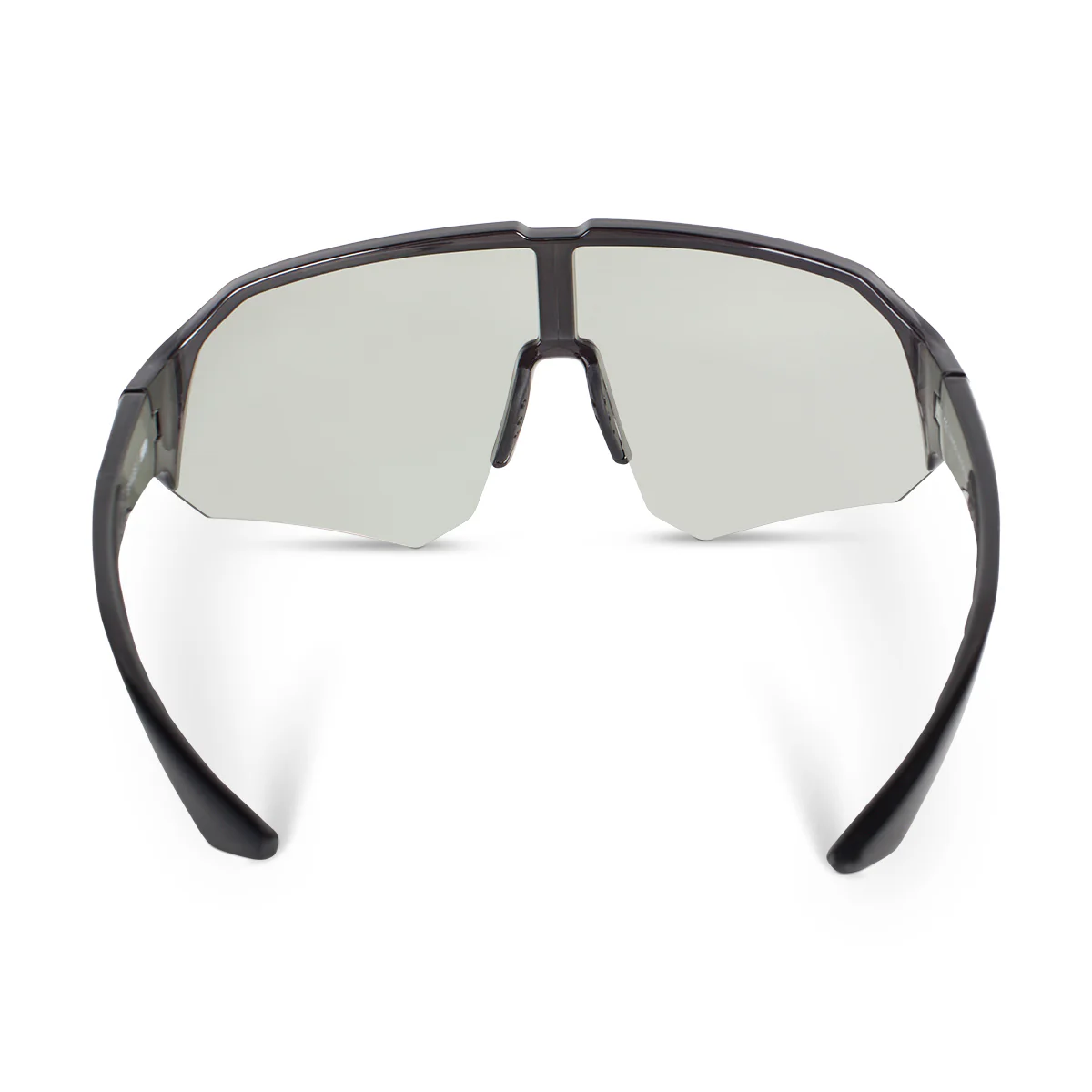 Shags Sunglasses - Image 39